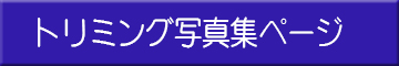 トリミング